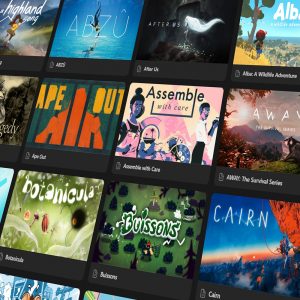 Selection Fuulido entre écologies et jeux vidéo : Ensemble de tuiles de key art de jeux vidéo